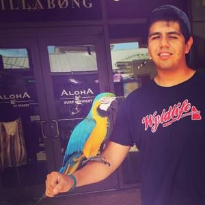 Meet your Posher, Erick